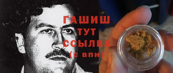 ECSTASY Алзамай