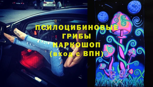 ECSTASY Алзамай
