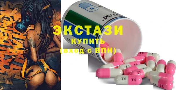 ECSTASY Алзамай