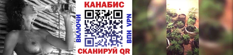 где найти наркотики  Звенигово  Марихуана OG Kush 
